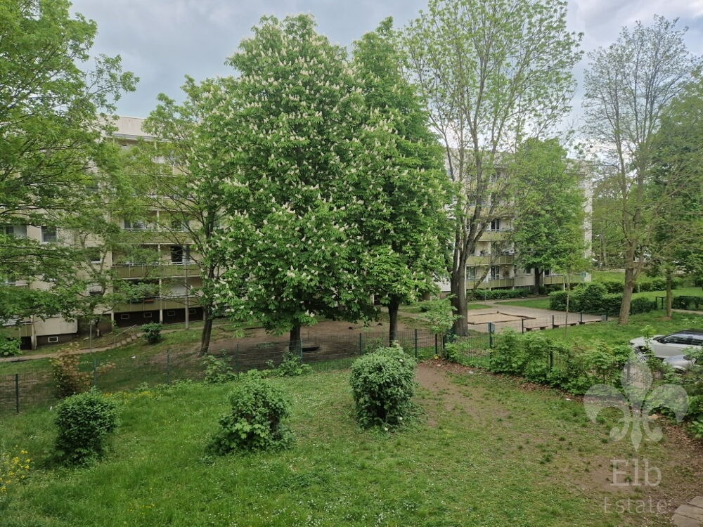 Ausblick