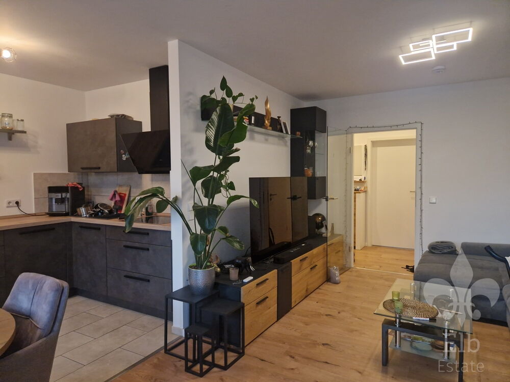 Wohnzimmer mit offener Küche