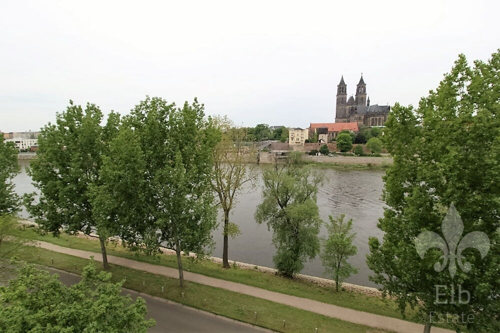 Elbblick