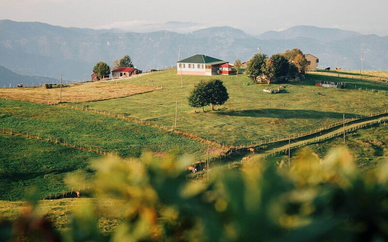 Haus mit Ausblick auf grüne Berge