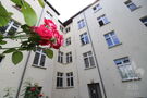 Hausrückseite