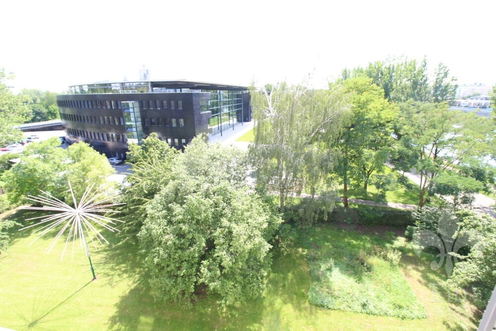 Blick ins Grüne