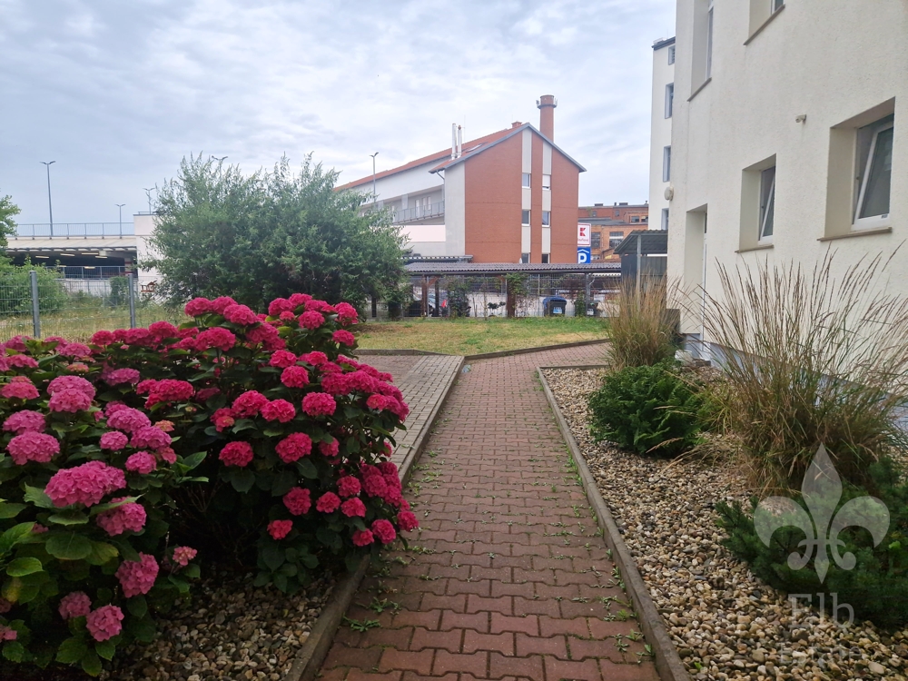Gartenbereich